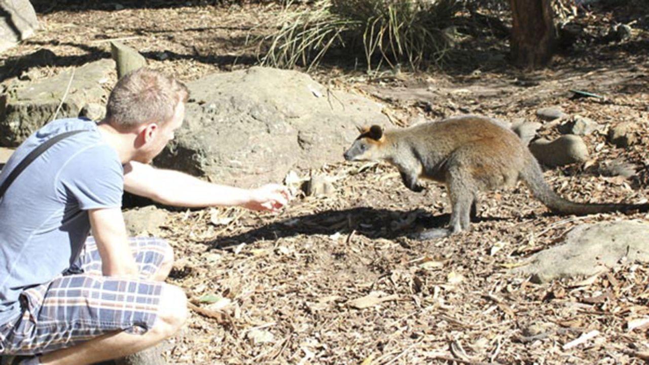 Visiting Sydney? Insiders share tips