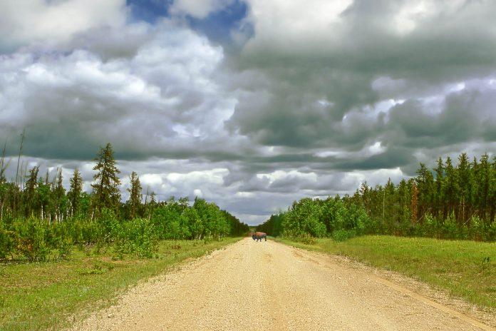 Wood Buffalo National Park, Canada